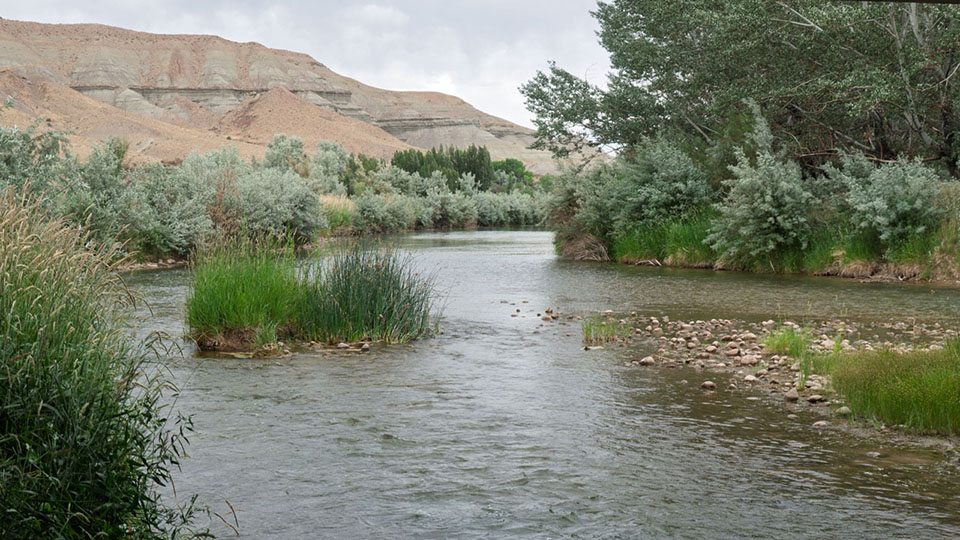 A river flanked with Russian olive and other trees and bluffed hills in the background.