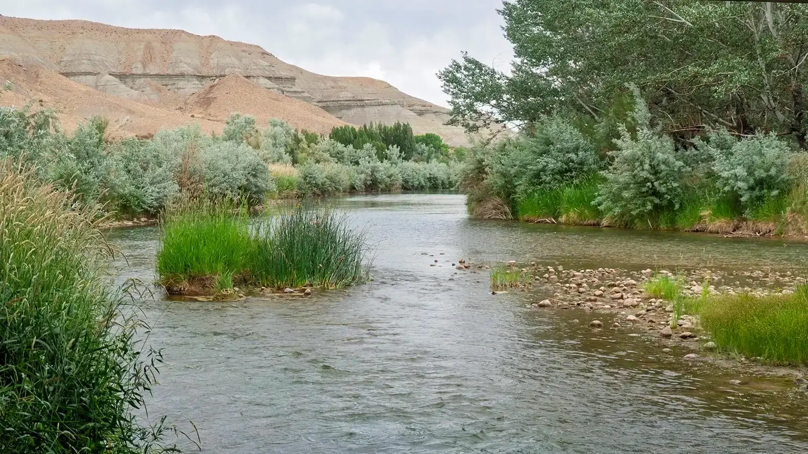 The Duchesne River flanked with Russian olive and other trees and bluffed hills in the background.