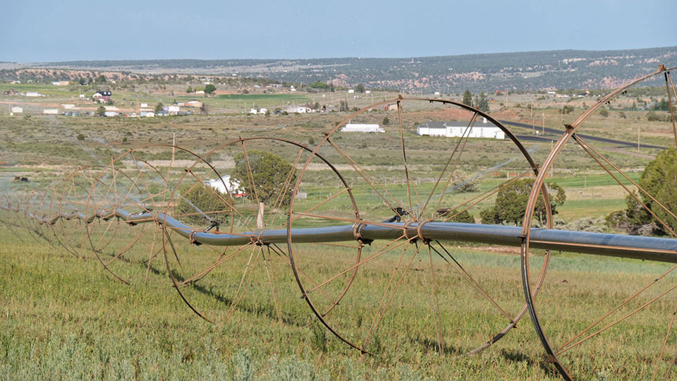 Fruitland
