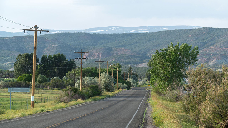 A country road with lined with fields and cedar covered hills in the background
