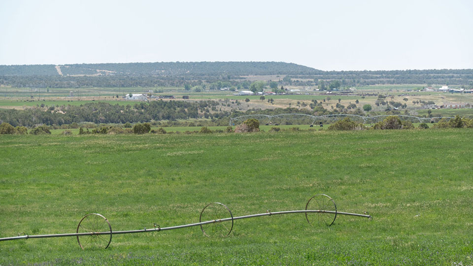 Green fields with wheeline sprinklers and cedar covered hills
