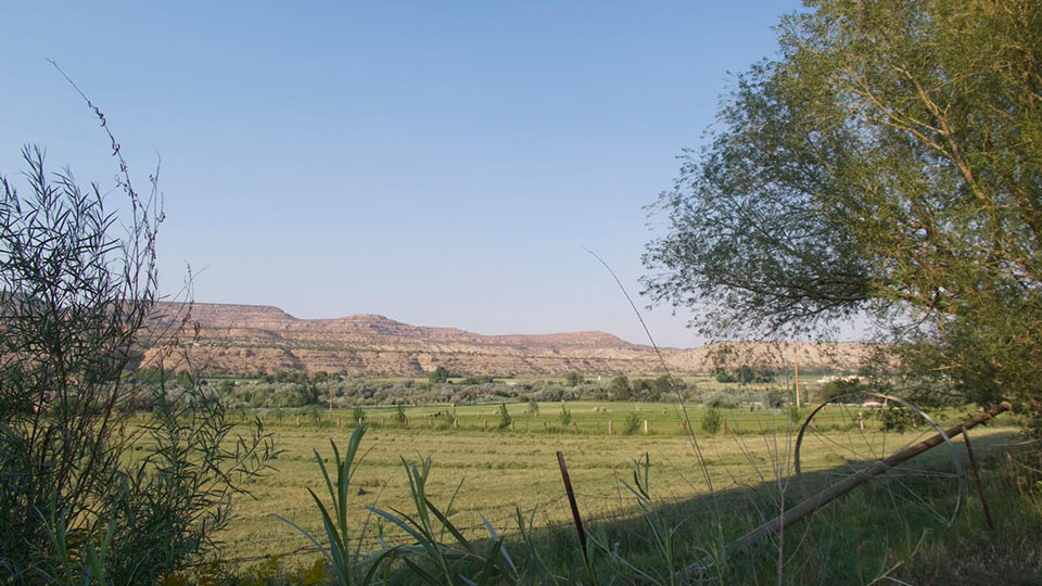 Green hayfields surrounded by badlands